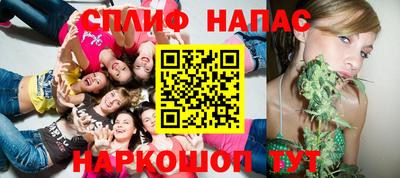jwh Кингисепп