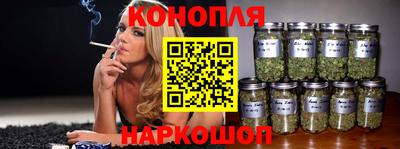 jwh Кингисепп