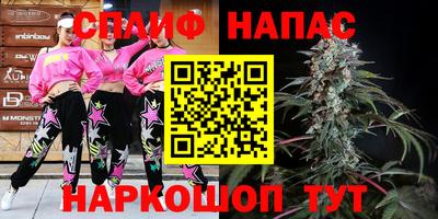 jwh Кингисепп