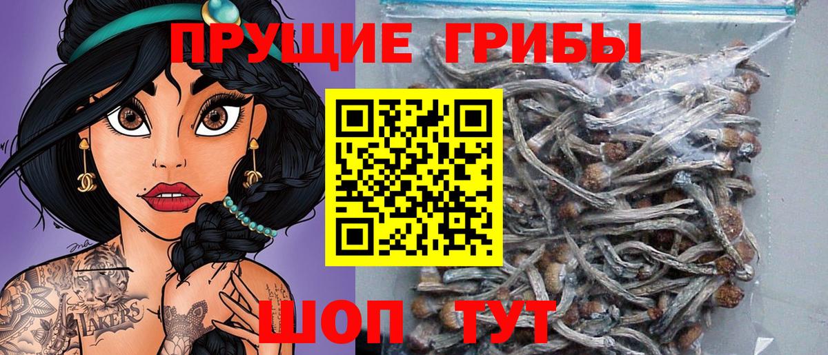 Псилоцибиновые грибы Psilocybe  Вход с VPN  Краснодар  Псилоцибиновые грибы ЛСД 